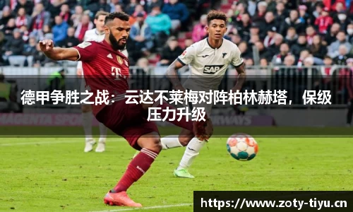 中欧体育平台