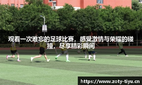 中欧体育平台