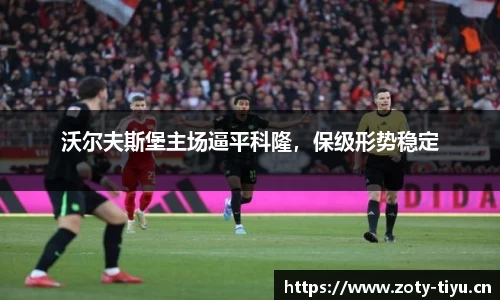 中欧体育