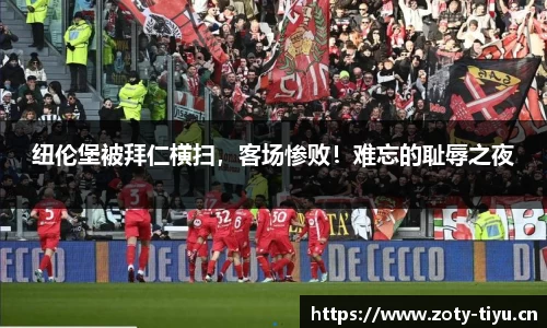 中欧体育